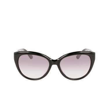 Lunettes de soleil Calvin Klein CK22520S 001 black - Vue de face