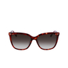 Lunettes de soleil Calvin Klein CK22532S 609 burgundy havana - Vignette du produit 1/4