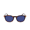 Gafas de sol Calvin Klein CK22533S 220 brown havana - Miniatura del producto 1/4