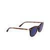 Lunettes de soleil Calvin Klein CK22533S 220 brown havana - Vignette du produit 2/4