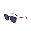 Lunettes de soleil Calvin Klein CK22533S 220 brown havana - Vignette du produit 3/4