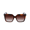 Lunettes de soleil Calvin Klein CK22534S 220 brown havana - Vignette du produit 1/4