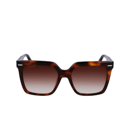 Occhiali da sole Calvin Klein CK22534S 220 brown havana