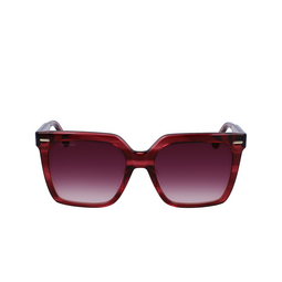 Lunettes de soleil Calvin Klein CK22534S 605 burgundy