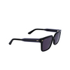 Lunettes de soleil Calvin Klein CK22535S 001 black - Vignette du produit 2/4