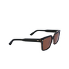 Calvin Klein CK22535S Sunglasses 023 striped grey - product thumbnail 2/4