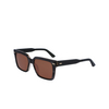 Calvin Klein CK22535S Sunglasses 023 striped grey - product thumbnail 3/4