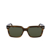 Calvin Klein CK22535S Sunglasses 317 striped olive - product thumbnail 1/4