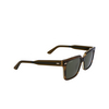 Calvin Klein CK22535S Sunglasses 317 striped olive - product thumbnail 2/4