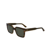 Gafas de sol Calvin Klein CK22535S 317 striped olive - Miniatura del producto 3/4