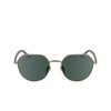 Gafas de sol Calvin Klein CK23125S 720 matte gold - Miniatura del producto 1/4