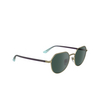 Calvin Klein CK23125S Sunglasses 720 matte gold - product thumbnail 2/4