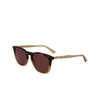 Lunettes de soleil Calvin Klein CK23501S 220 brown havana - Vignette du produit 3/4