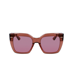 Gafas de sol Calvin Klein CK23508S 200 brown