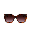 Lunettes de soleil Calvin Klein CK23508S 220 brown havana - Vignette du produit 1/4