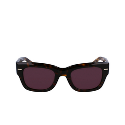 Gafas de sol Calvin Klein CK23509S 220 brown havana