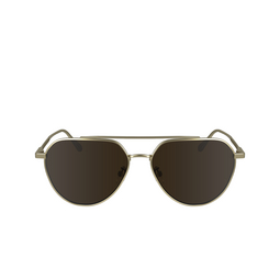 Calvin Klein CK24100S Sonnenbrillen 720 matte gold