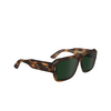 Calvin Klein CK24501S Sunglasses 240 havana - product thumbnail 2/4