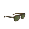 Calvin Klein CK24504S Sunglasses 200 brown - product thumbnail 2/4