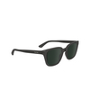 Gafas de sol Calvin Klein CK24506S 020 grey - Miniatura del producto 2/4