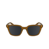 Calvin Klein CK24506S Sunglasses 618 brick - product thumbnail 1/4