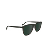 Occhiali da sole Calvin Klein CK24508S 303 green / striped brown - anteprima prodotto 2/4