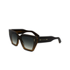 Gafas de sol Calvin Klein CK24533S 002 black / charcoal - Miniatura del producto 3/4