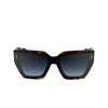 Calvin Klein CK24533S Sunglasses 240 havana - product thumbnail 1/4