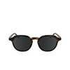 Lunettes de soleil Calvin Klein CK24538S 233 havana / black - Vignette du produit 1/4