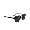 Lunettes de soleil Calvin Klein CK24538S 233 havana / black - Vignette du produit 2/4