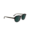 Occhiali da sole Calvin Klein CK24538S 235 dark havana - anteprima prodotto 2/4