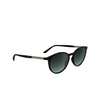 Lunettes de soleil Calvin Klein CK24539S 235 dark havana - Vignette du produit 2/4