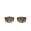 Cartier CT0018RS Sunglasses 001 silver - product thumbnail 1/4