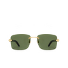 Lunettes de soleil Cartier CT0030RS 002 gold - Vignette du produit 1/4