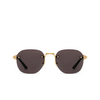 Cartier CT0459S Sunglasses 001 gold - product thumbnail 1/4