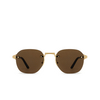Cartier CT0459S Sunglasses 002 gold - product thumbnail 1/4