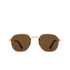 Cartier CT0459S Sunglasses 006 gold - product thumbnail 1/4