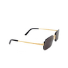Cartier CT0460S Sunglasses 001 gold - product thumbnail 2/5