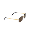 Cartier CT0460S Sunglasses 002 gold - product thumbnail 2/4