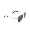 Cartier CT0461S Sunglasses 003 gold - product thumbnail 2/4