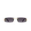 Cartier CT0465S Sunglasses 001 gold - product thumbnail 1/5