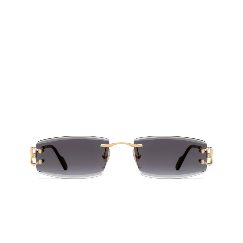 Cartier CT0465S Sunglasses 001 gold - 1/5
