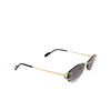 Cartier CT0467S Sunglasses 001 gold - product thumbnail 2/5