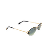 Cartier CT0467S Sunglasses 003 gold - product thumbnail 2/4