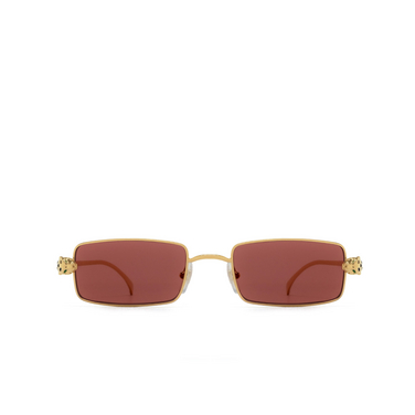 Cartier CT0473S Sunglasses 002 gold - front view