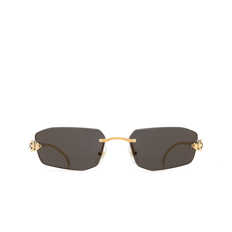 Cartier CT0474S Sunglasses 001 gold - 1/5