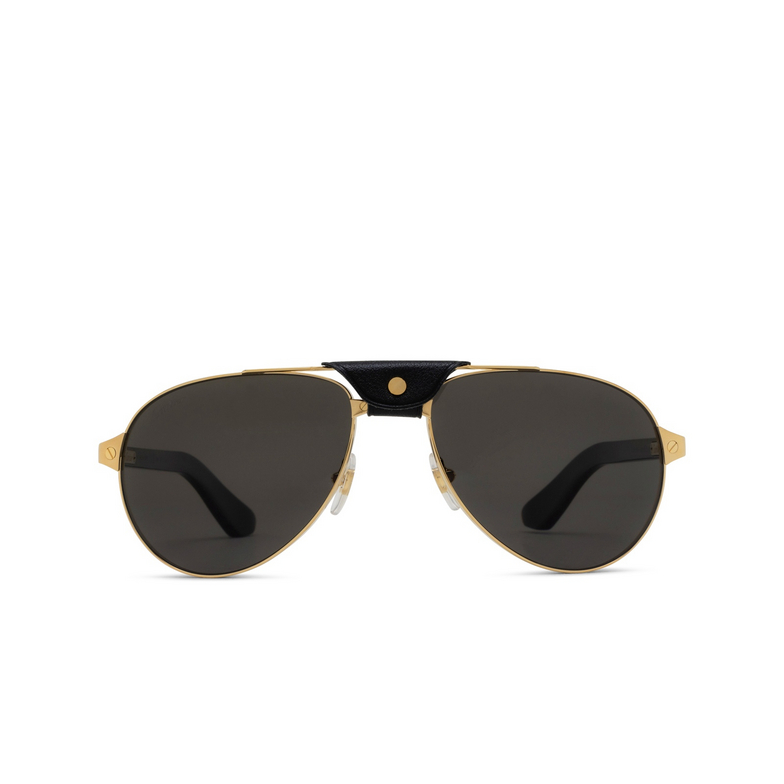 Cartier CT0495S Sunglasses 001 gold - 1/4