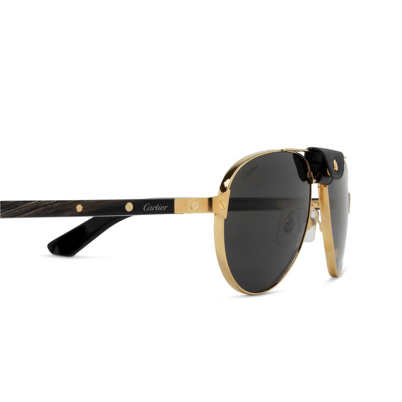 Gafas de sol Cartier CT0495S 001 gold - 3/4