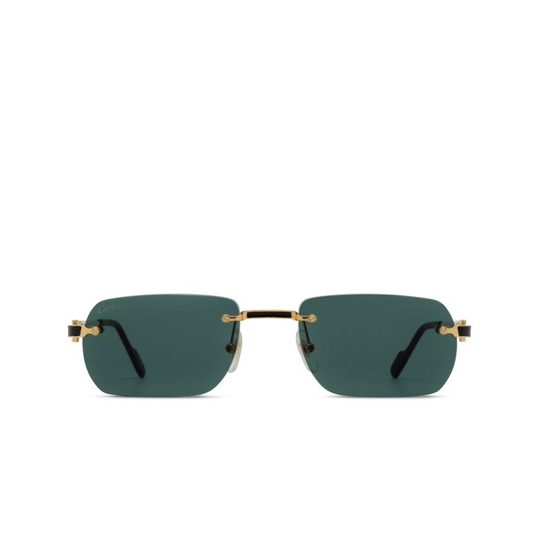 Cartier CT0498S Sunglasses 003 gold - 1/4