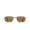 Occhiali da sole Cartier CT0498S 005 gold - anteprima prodotto 1/4